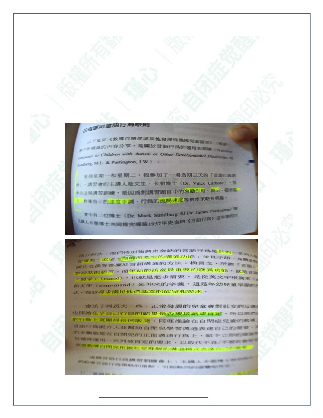 Page Background