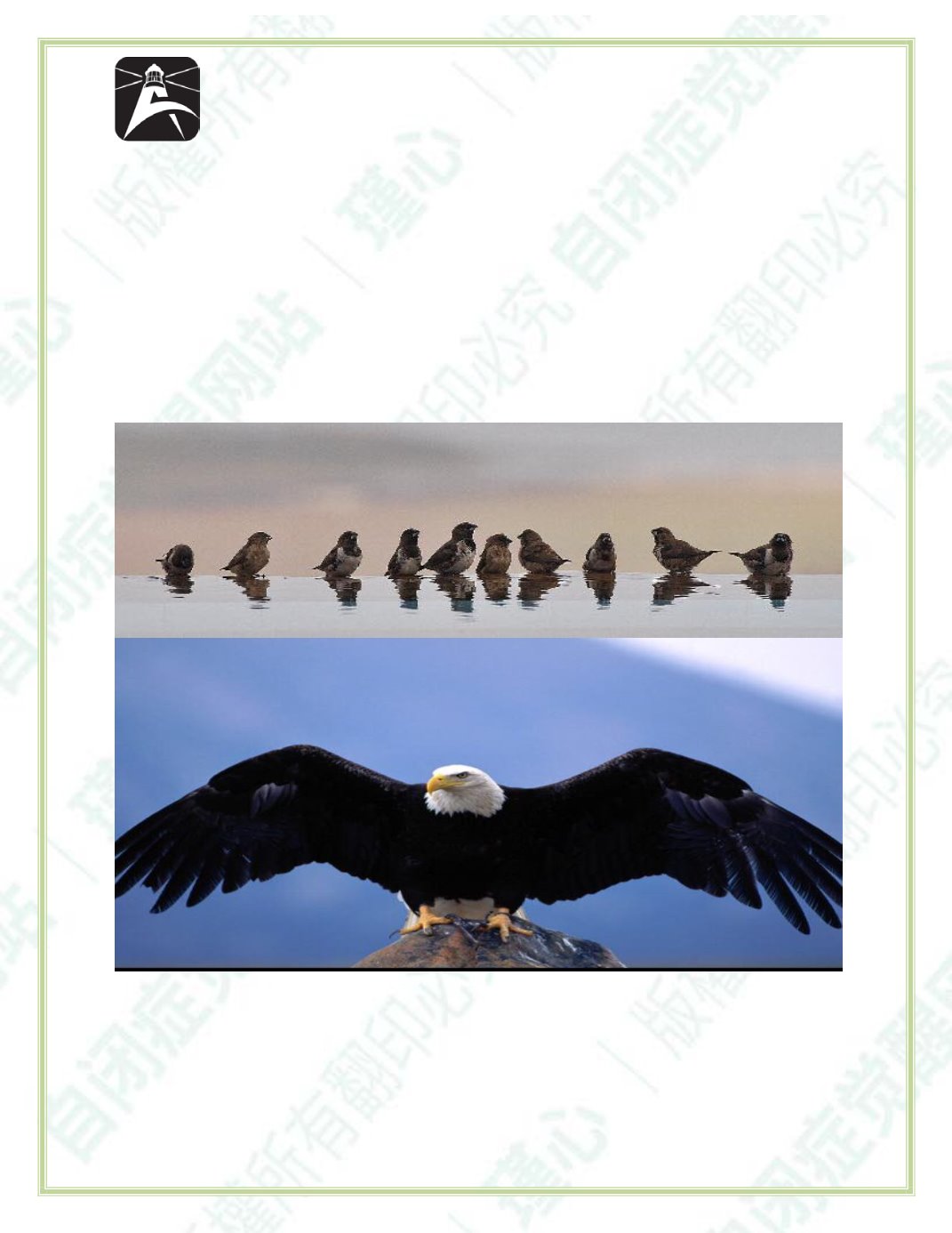 Page Background
